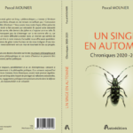 Un peu de pub